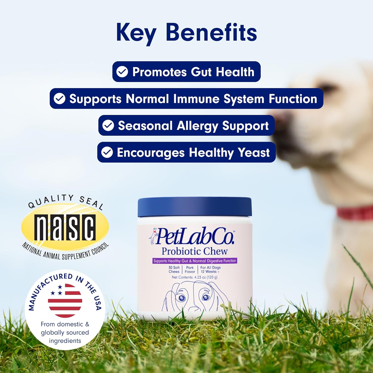 PetLab Co. Probiotics for Dogs, Support Gut Health, Occasional Diarrhea, Digestive Health & Seasonal Allergies - Pork Flavor - 30 Soft Chews - Packaging May Vary